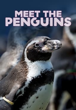 Najlepšie africké príroda online