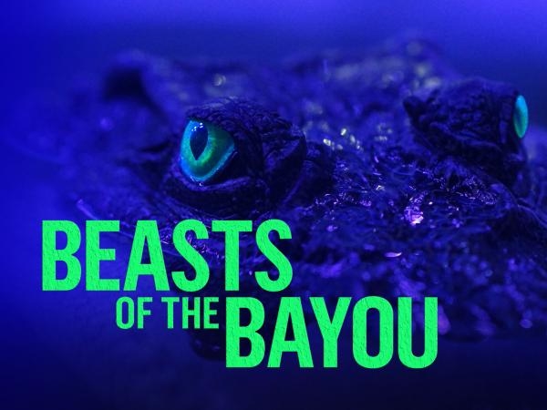 Cajun Legend Hunters