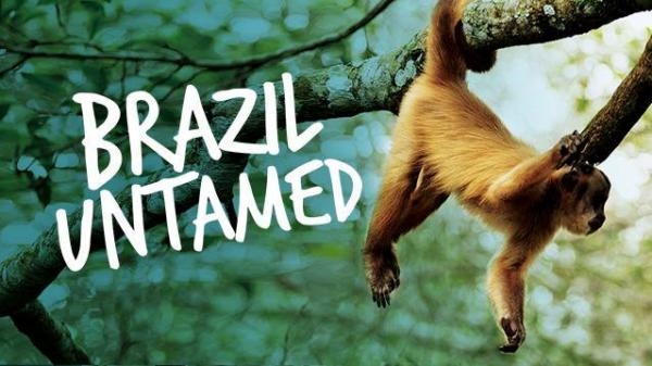 Nespoutaná Brazílie