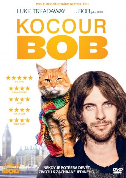 Kocúr Bob