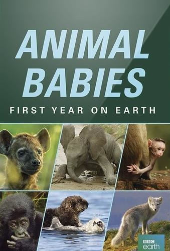 Animal Babies: First Year on Earth