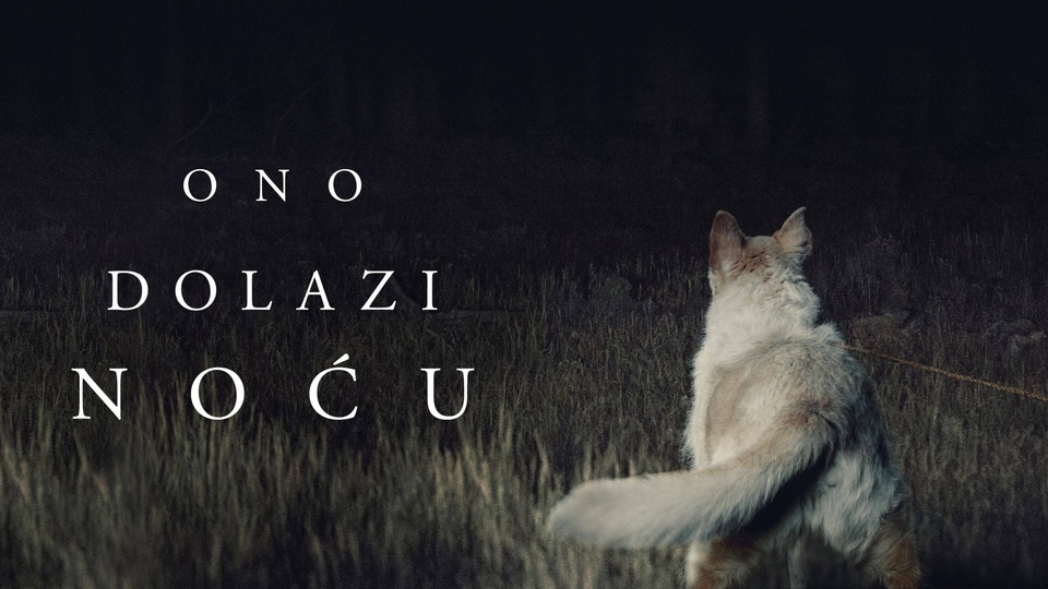 Film Ono dolazi noću