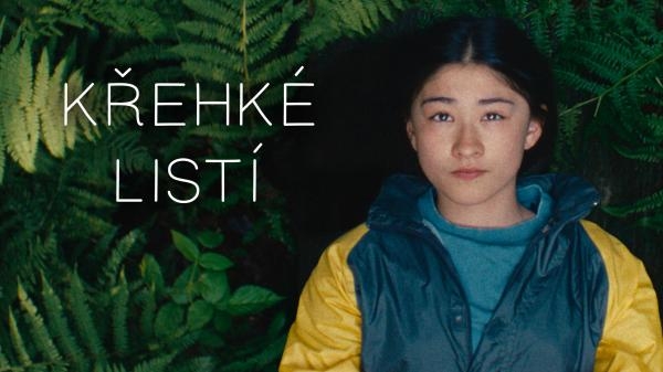 Křehké listí