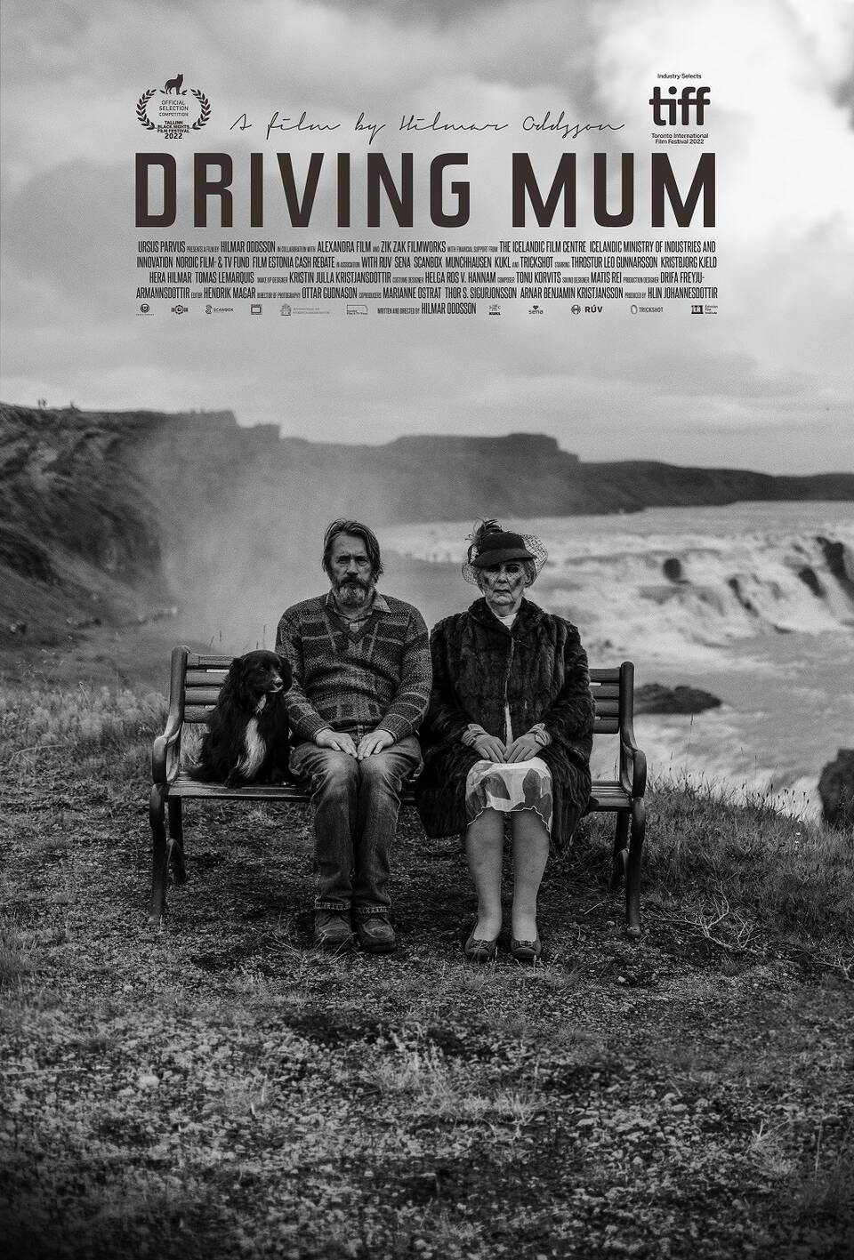 The best icelandic art movies online