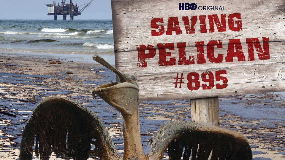 Dokument Záchrana pelikána č. 895