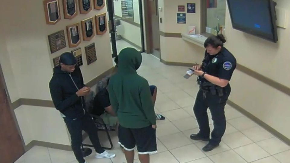 Documentary Crimes Gone Viral