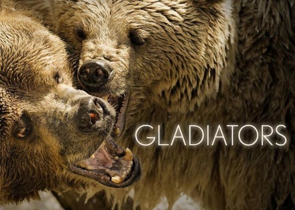 Gladiatorzy świata zwierząt
