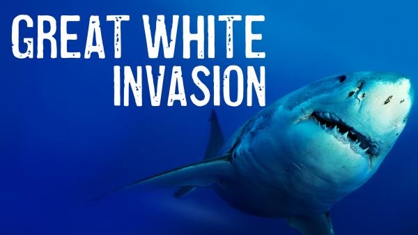 Great White Invasion