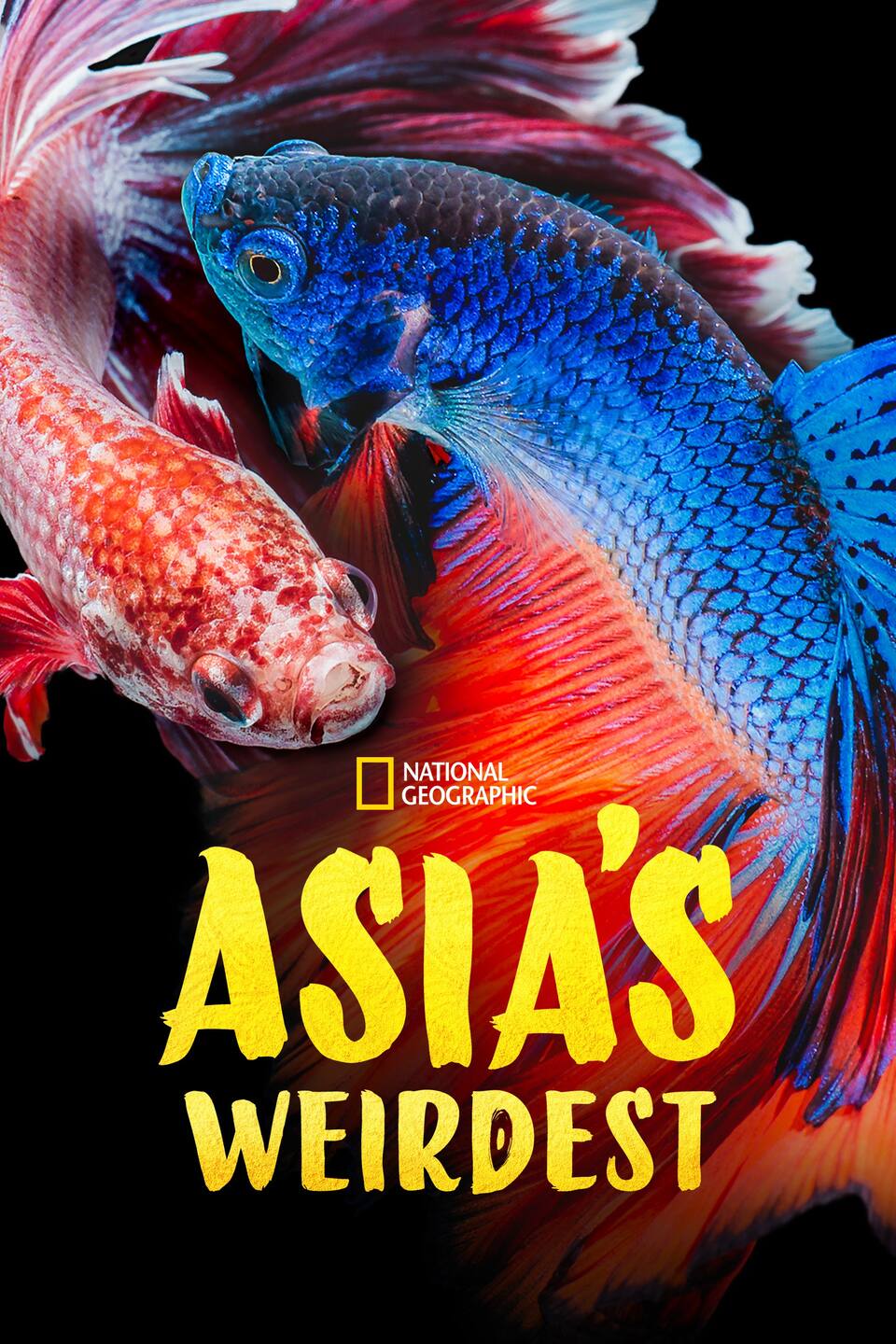 Dokument Podivíni asijské přírody