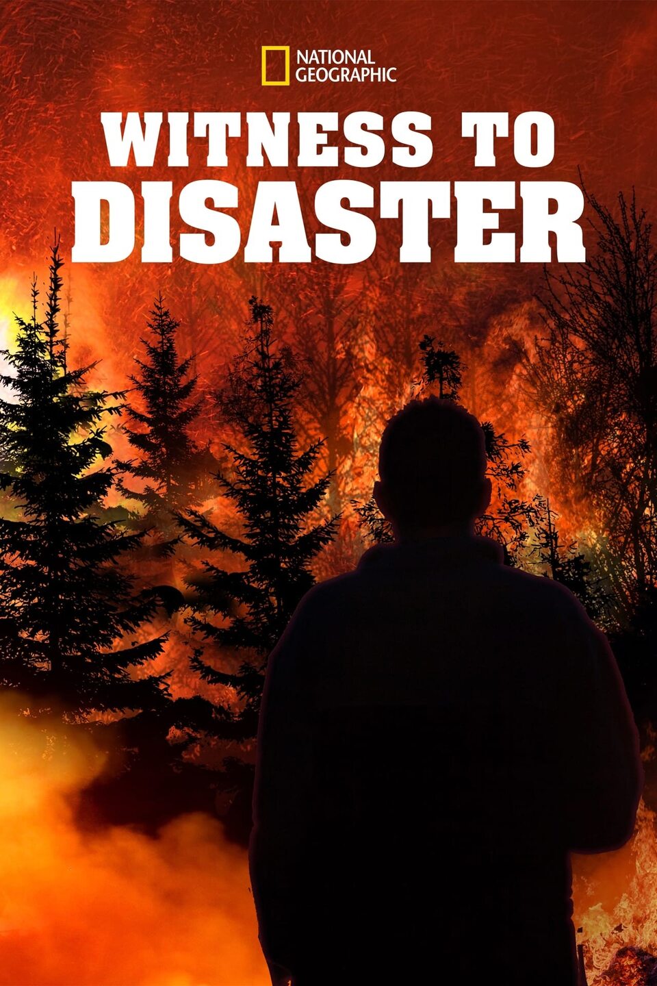 Документ Witness to Disaster