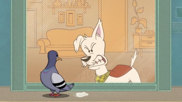 Krypto zachrání situaci