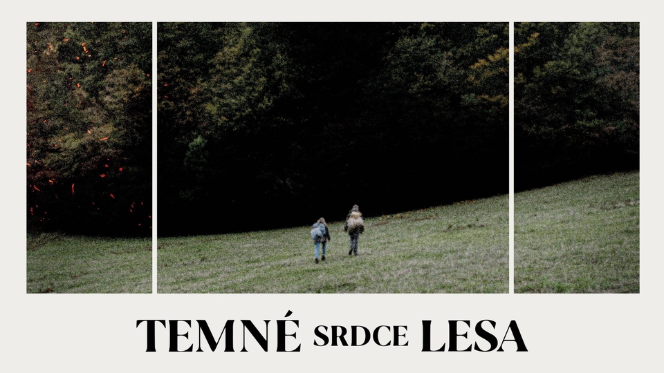 Film Temné srdce lesa
