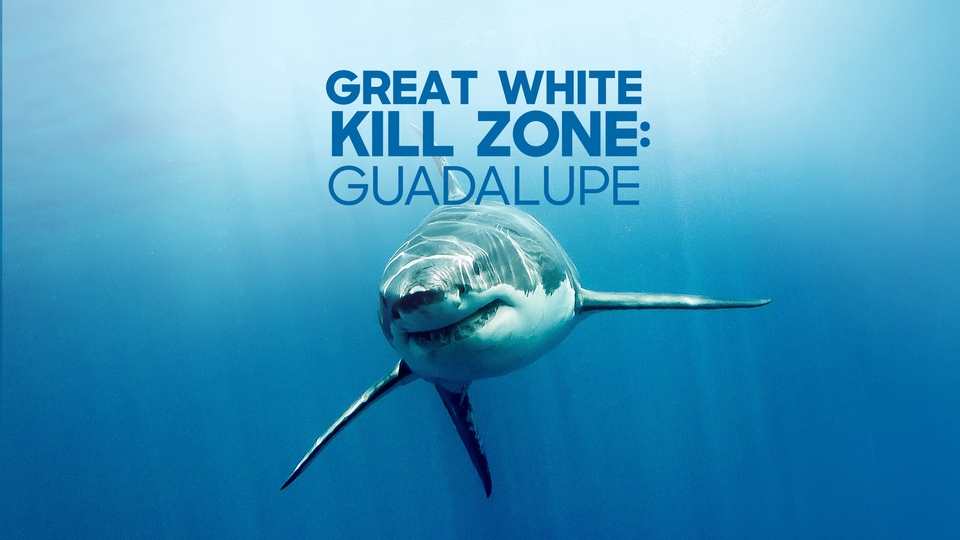 Film Great White Kill Zone: Guadalupe