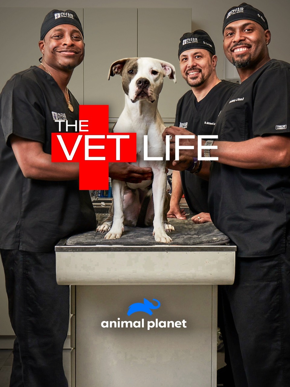 Dokument Život veterináře
