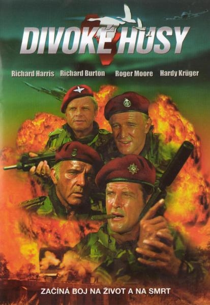 Divoké husy