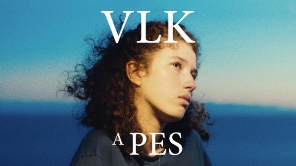 Vlk a pes