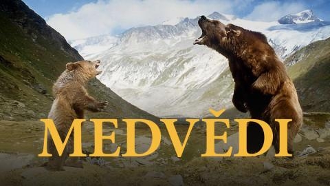 Medvědi