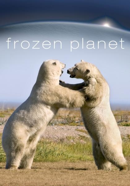 Frozen Planet