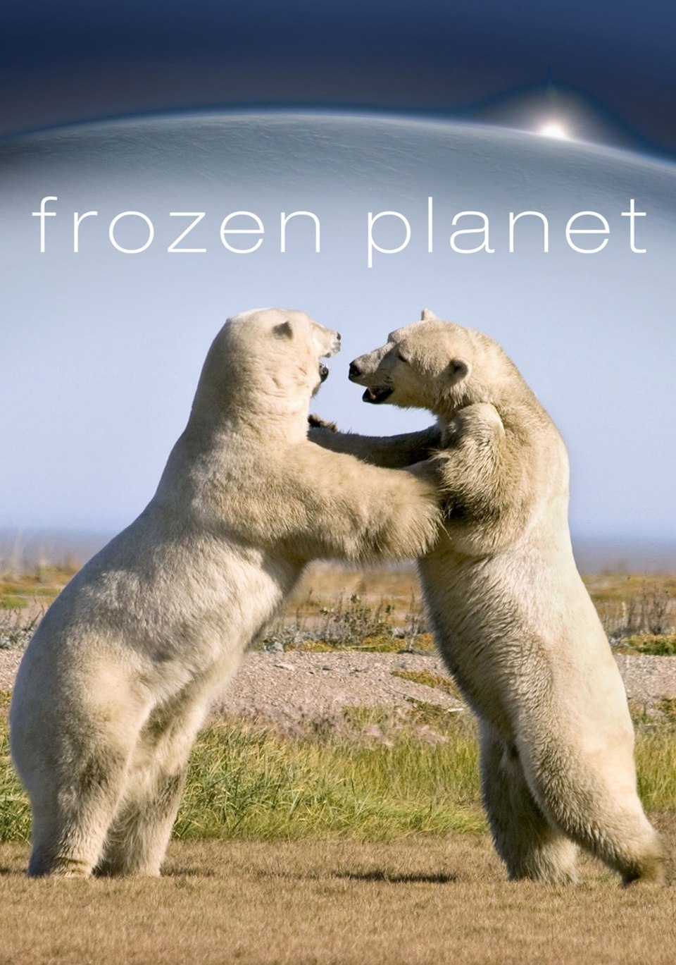 Dokumentarci Frozen Planet
