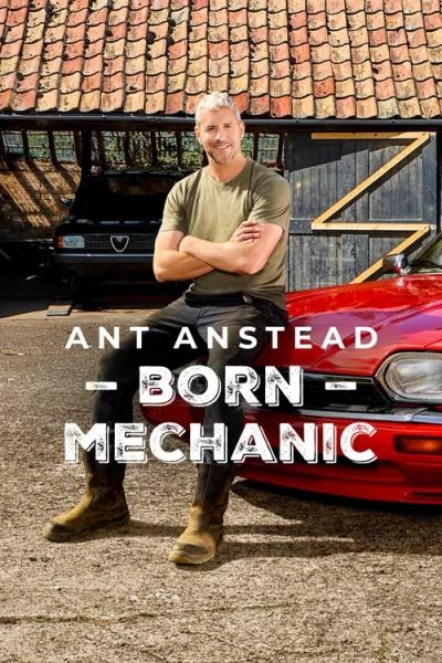 Ant Anstead: Rozený mechanik