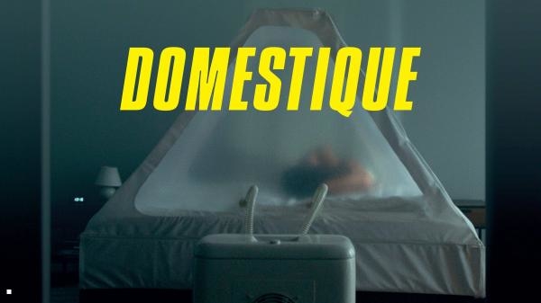 Domestique