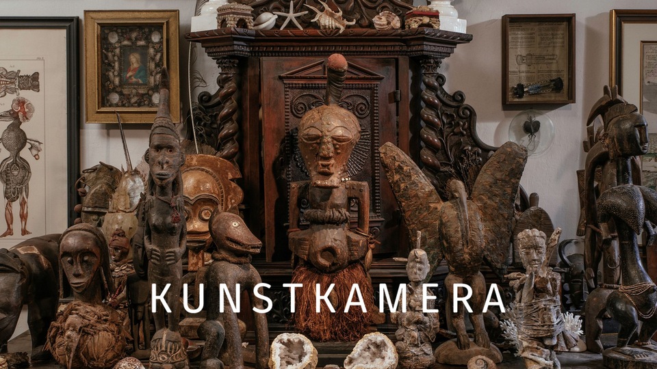 Документ Kunstkamera