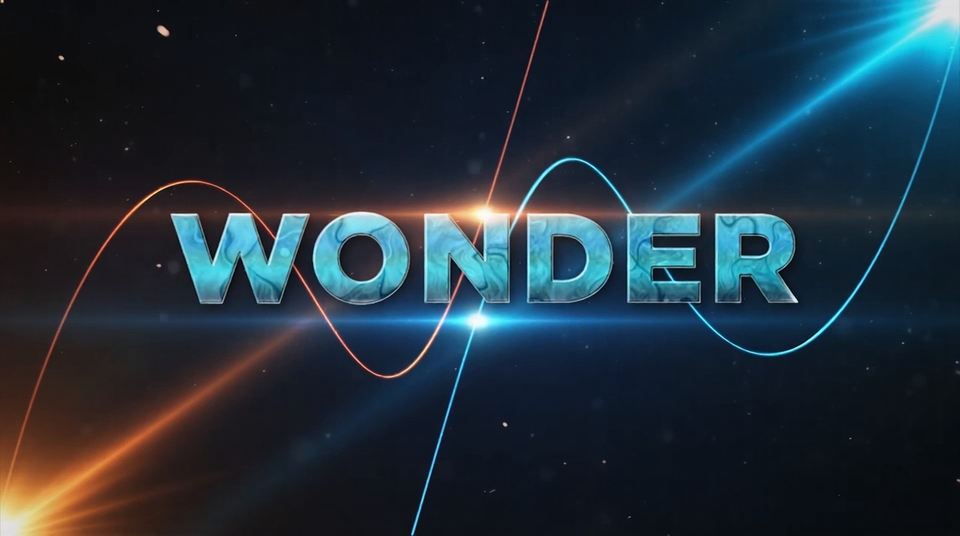 Dokument Wonder