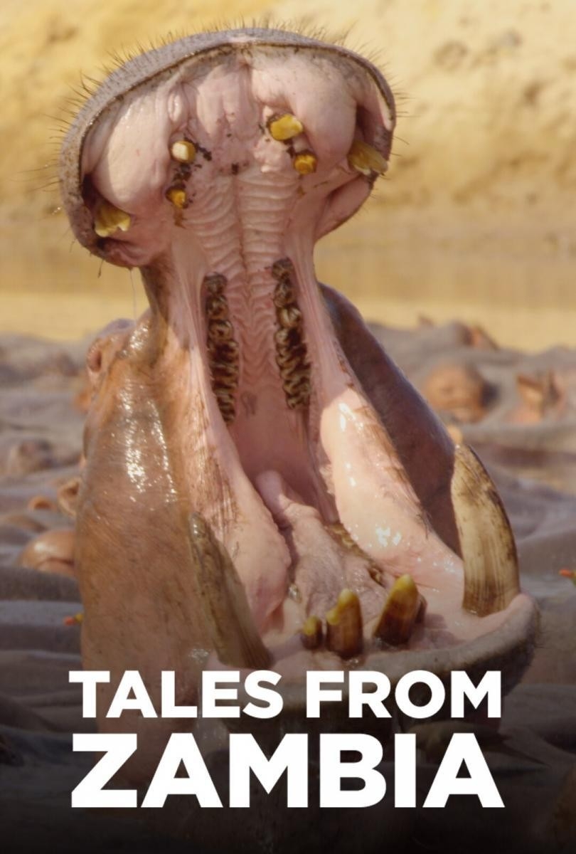 Documentary Příběhy ze Zambie