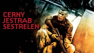 Černý jestřáb sestřelen