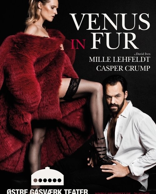 Film Venuše v kožichu