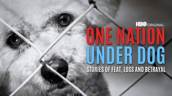 One Nation Under Dog