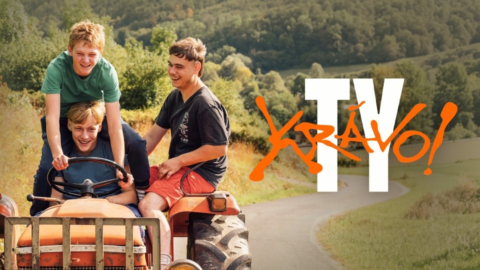 Film Ty krávo!