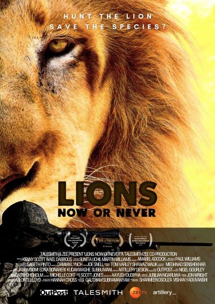 Lions: Now or Never