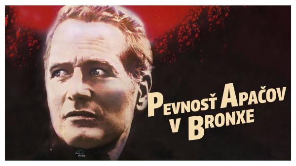 Fort Apache the Bronx