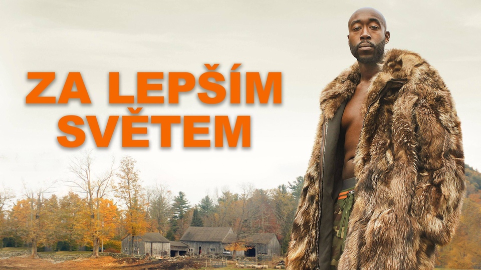 Film Za lepším světem