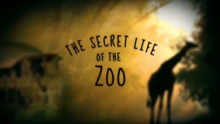 Dokument Tajný život v&nbsp;zoo