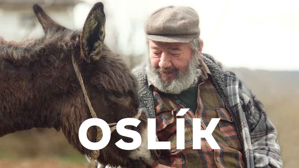 Болгарія: найкращі фільми онлайн