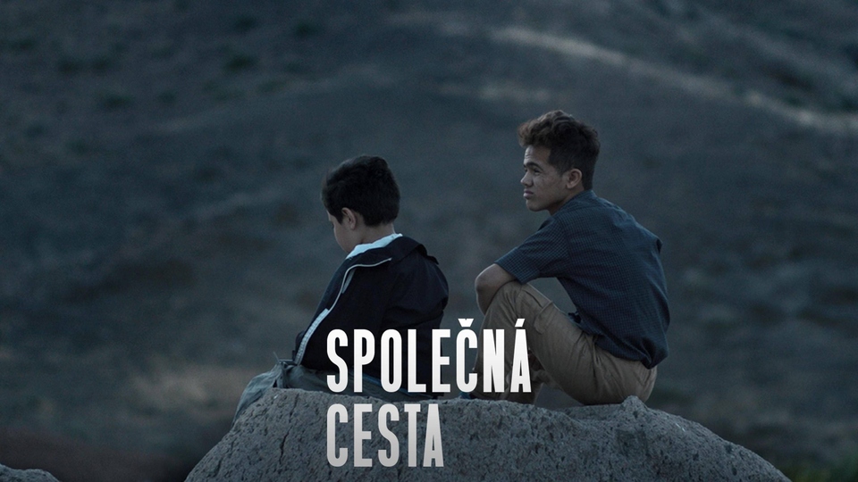 Film Společná cesta