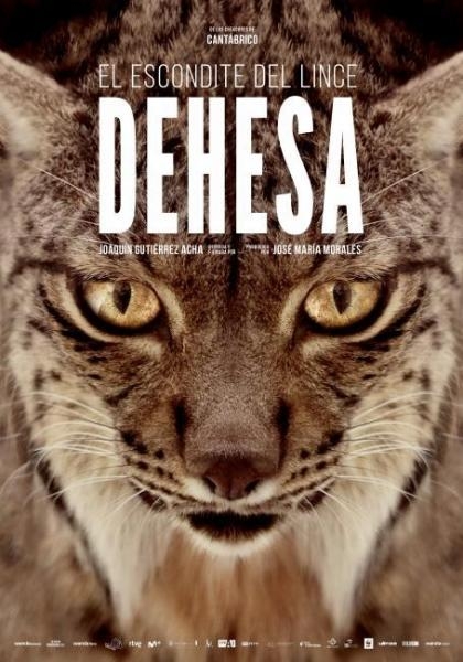 Dehesa: Les rysa iberského