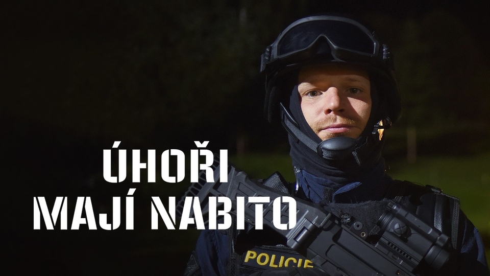 Film Úhoři mají nabito