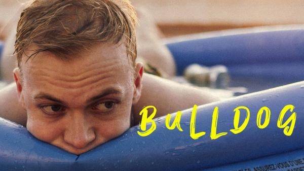 Bulldog