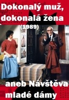 Film Dokonalý muž, dokonalá žena aneb Návštěva mladé dámy