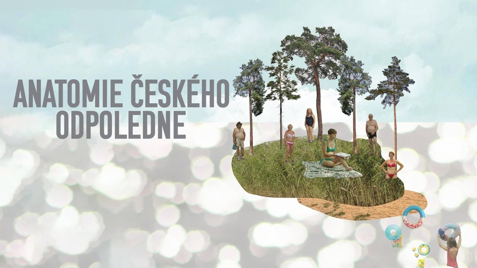 Film Anatomie českého odpoledne