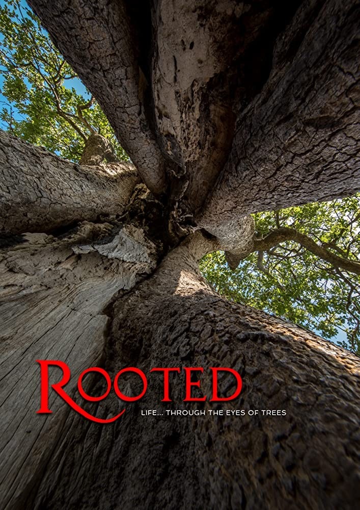 Dokumentarci Rooted
