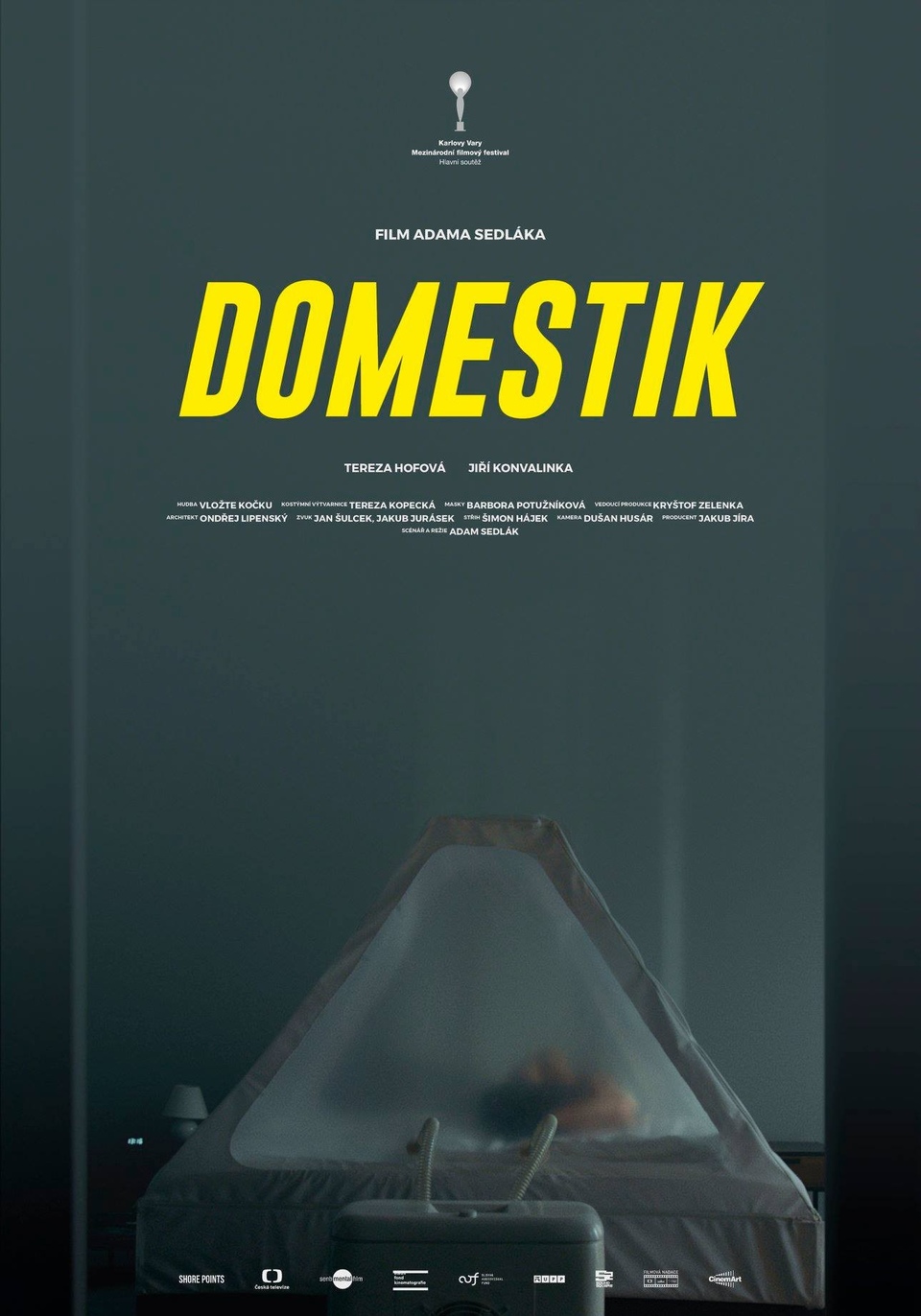 Film Domestik