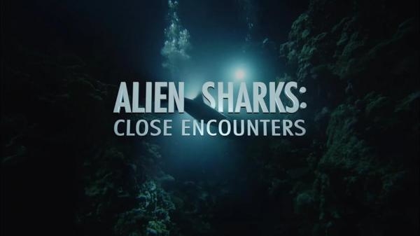 Alien Sharks: Close Encounters
