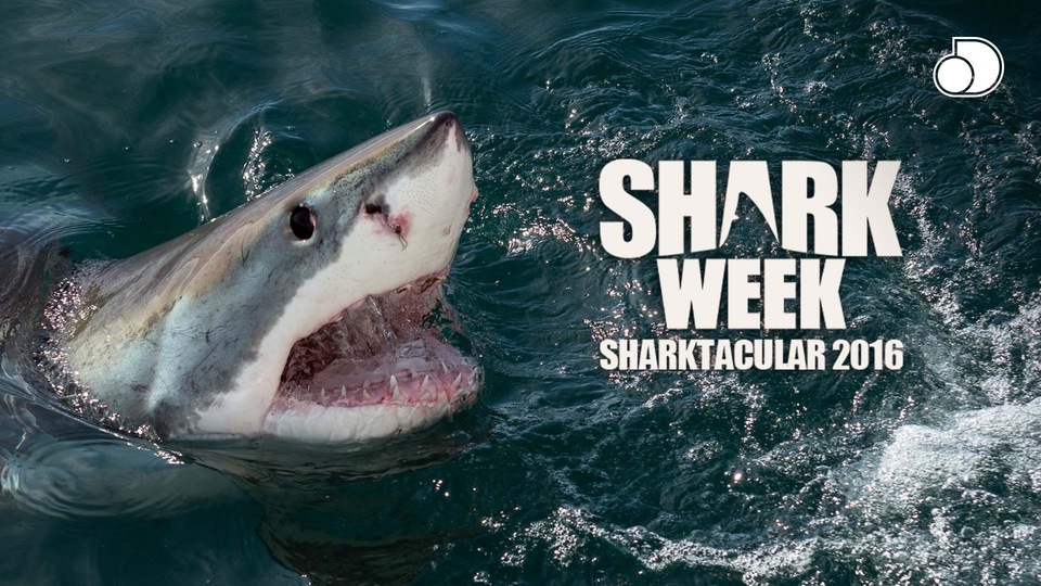 Documentary Sharktacular 2016