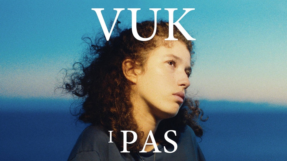 Film Vuk i pas