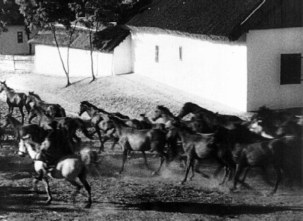 Hortobágy