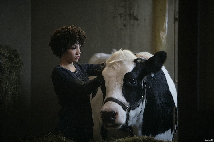 Jasika Nicole - The No-Brainer